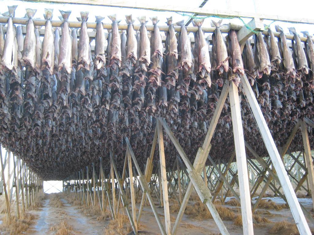 Frugga Feriehus Og Leilighet Straumsjoen Exterior foto